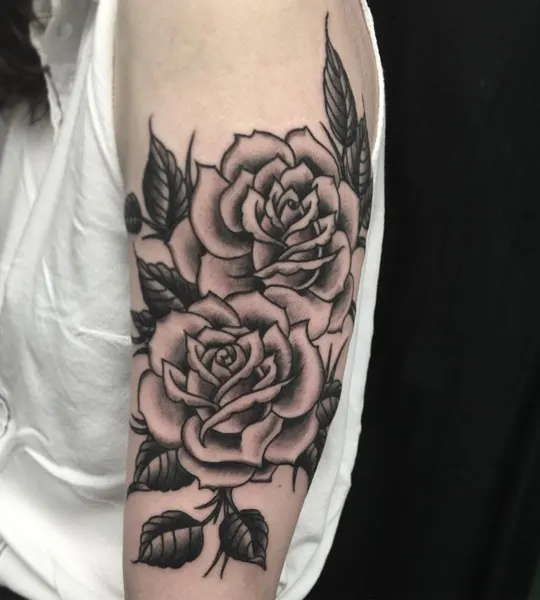 Flower, Rose, Nature