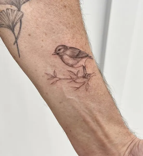 Animal, Nature