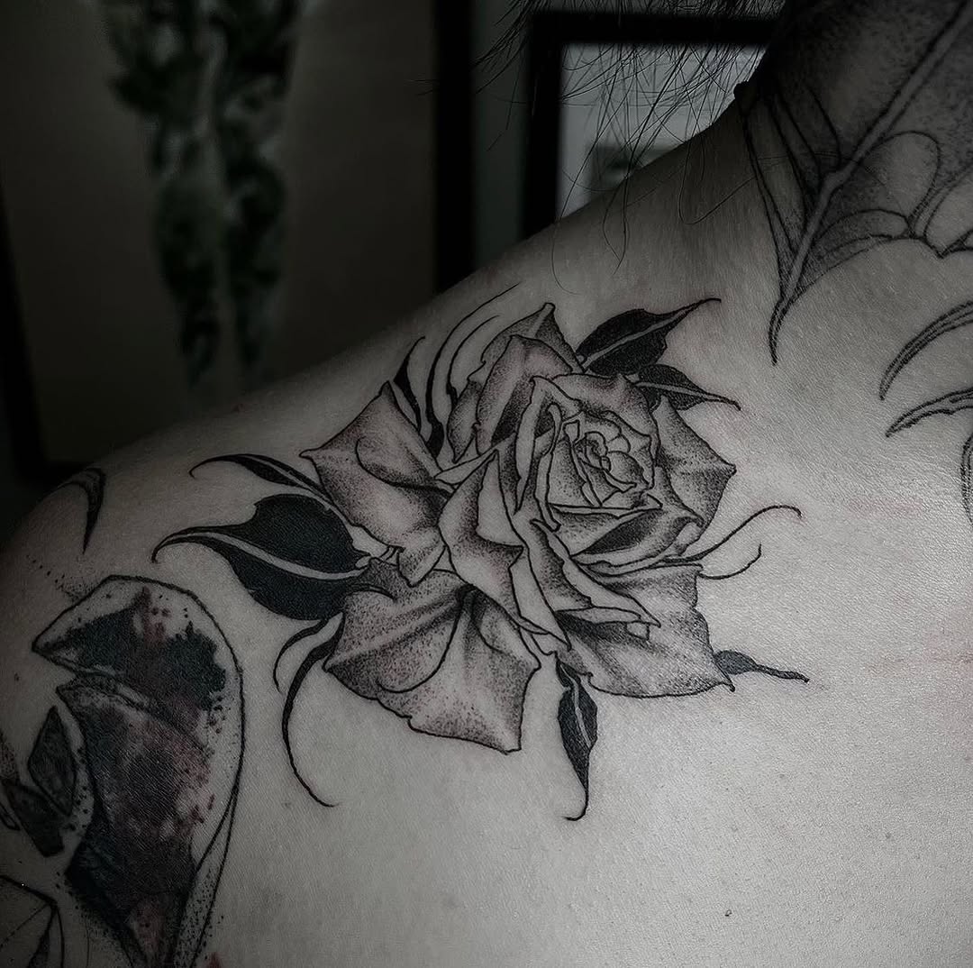 Flower, Rose, Nature