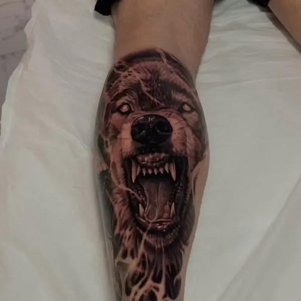 Animal