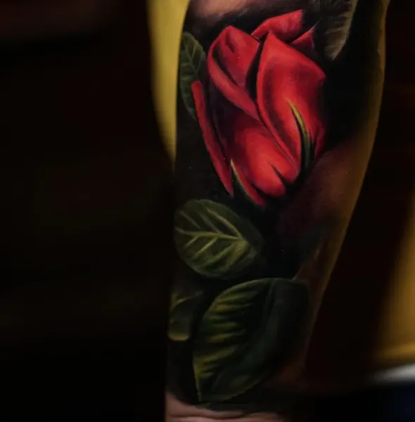 Flower, Rose
