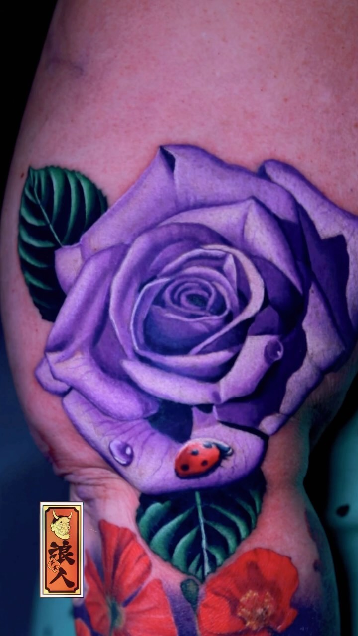 Flower, Rose