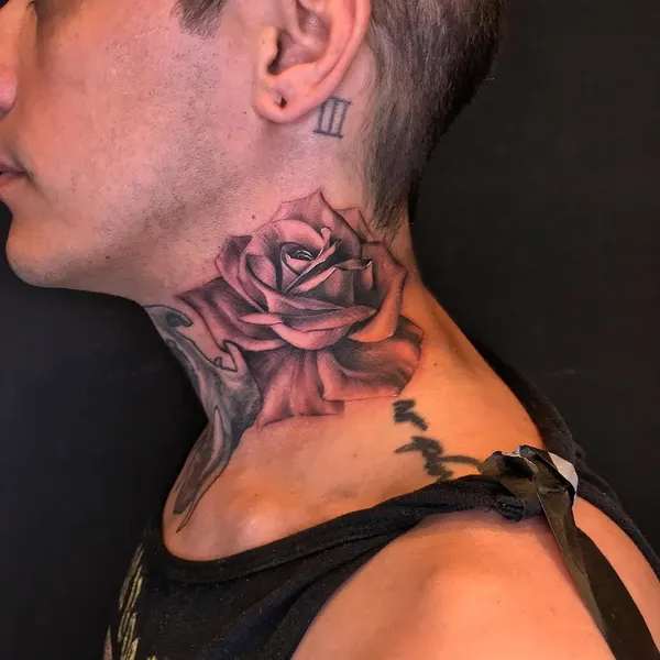 Flower, Rose
