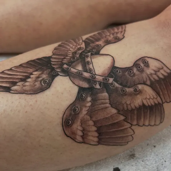 shawn_hebrank