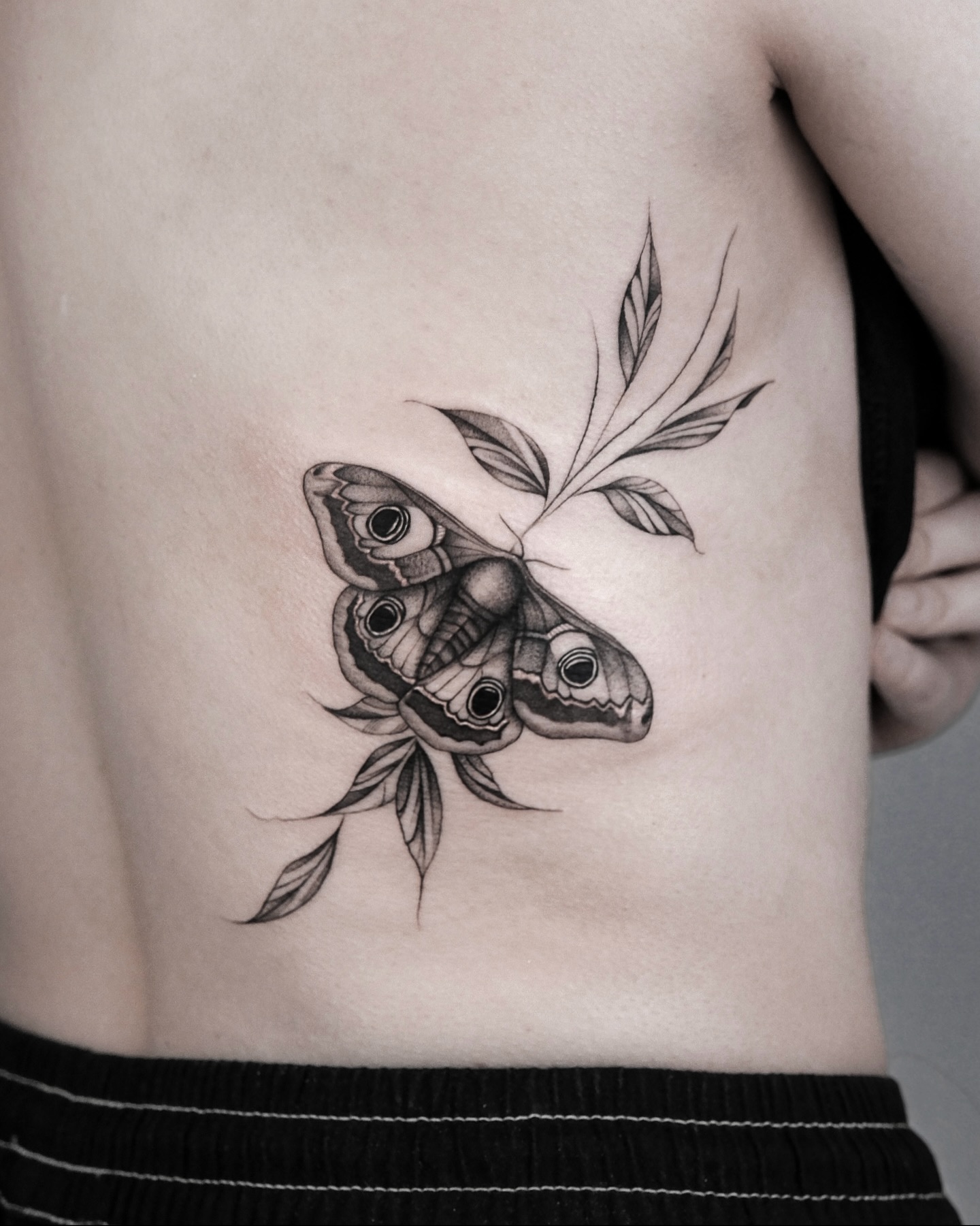 Nature, Animal