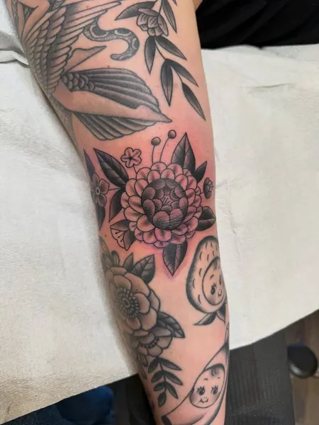 Flower, Rose