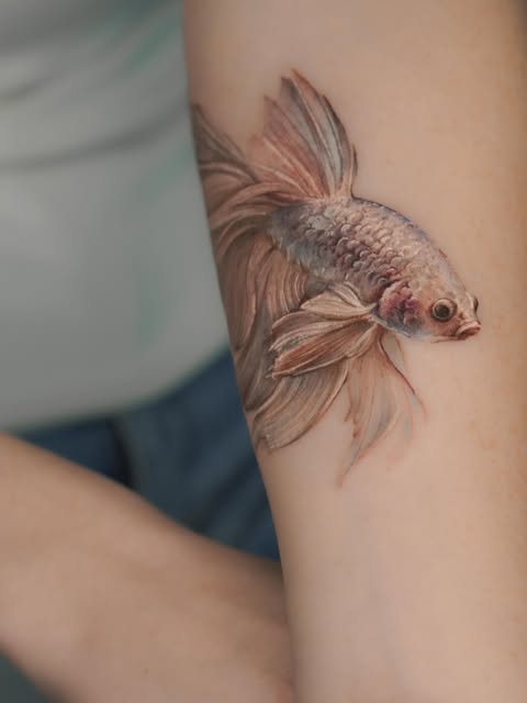 Animal