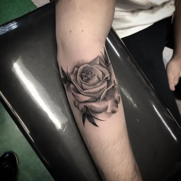 Flower, Rose