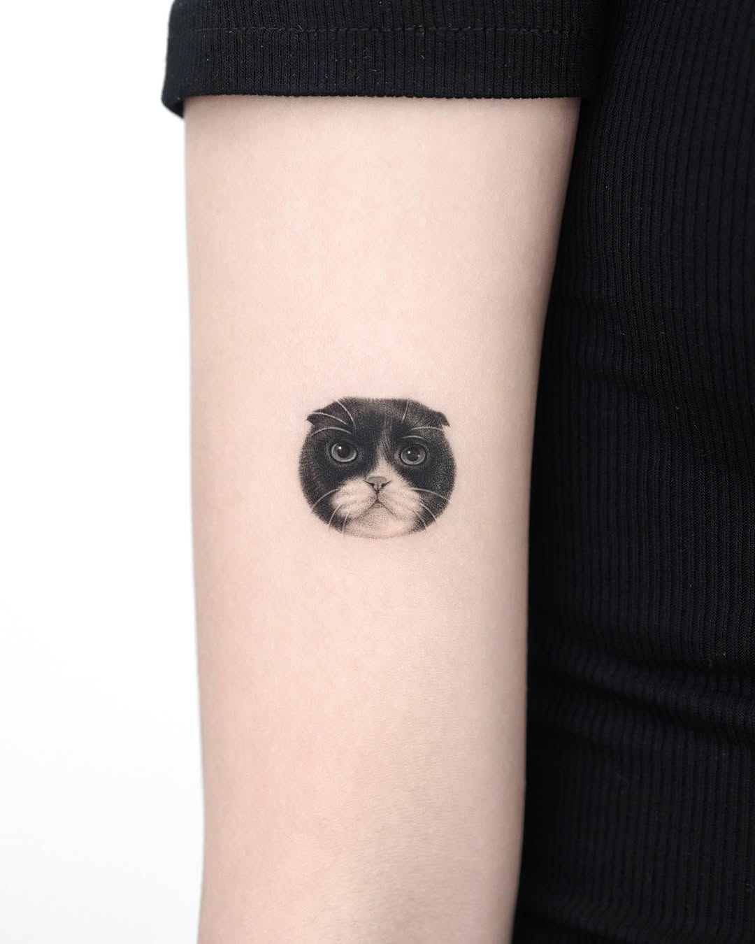 dorok.tattoo