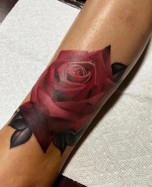 Flower, Rose