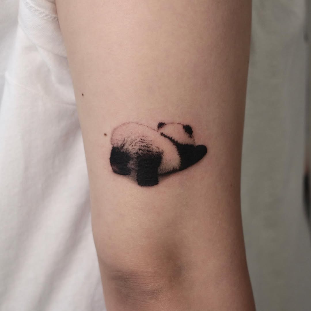 40.tatt