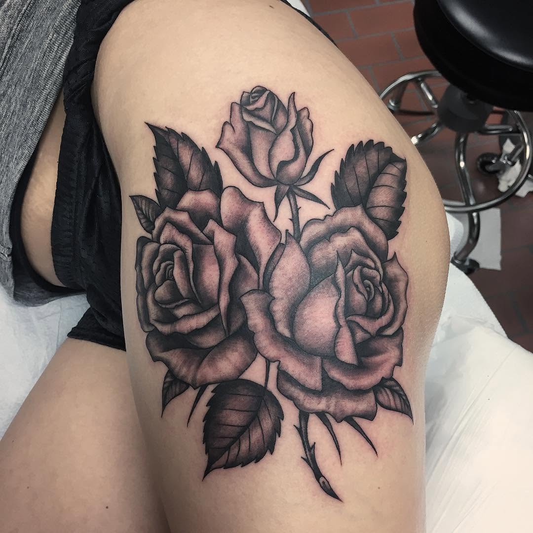 Flower, Rose, Nature