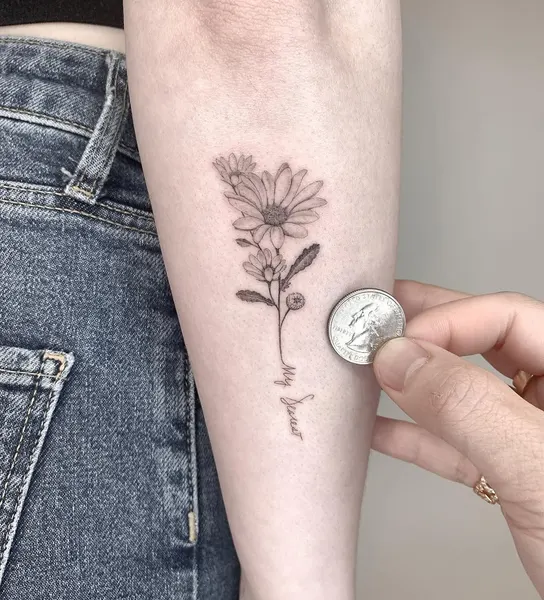 Flower, 뿌리, 허브, 카네이션, 덩굴, 민들레