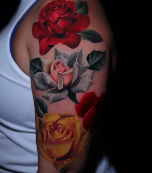 Flower, Rose, Nature