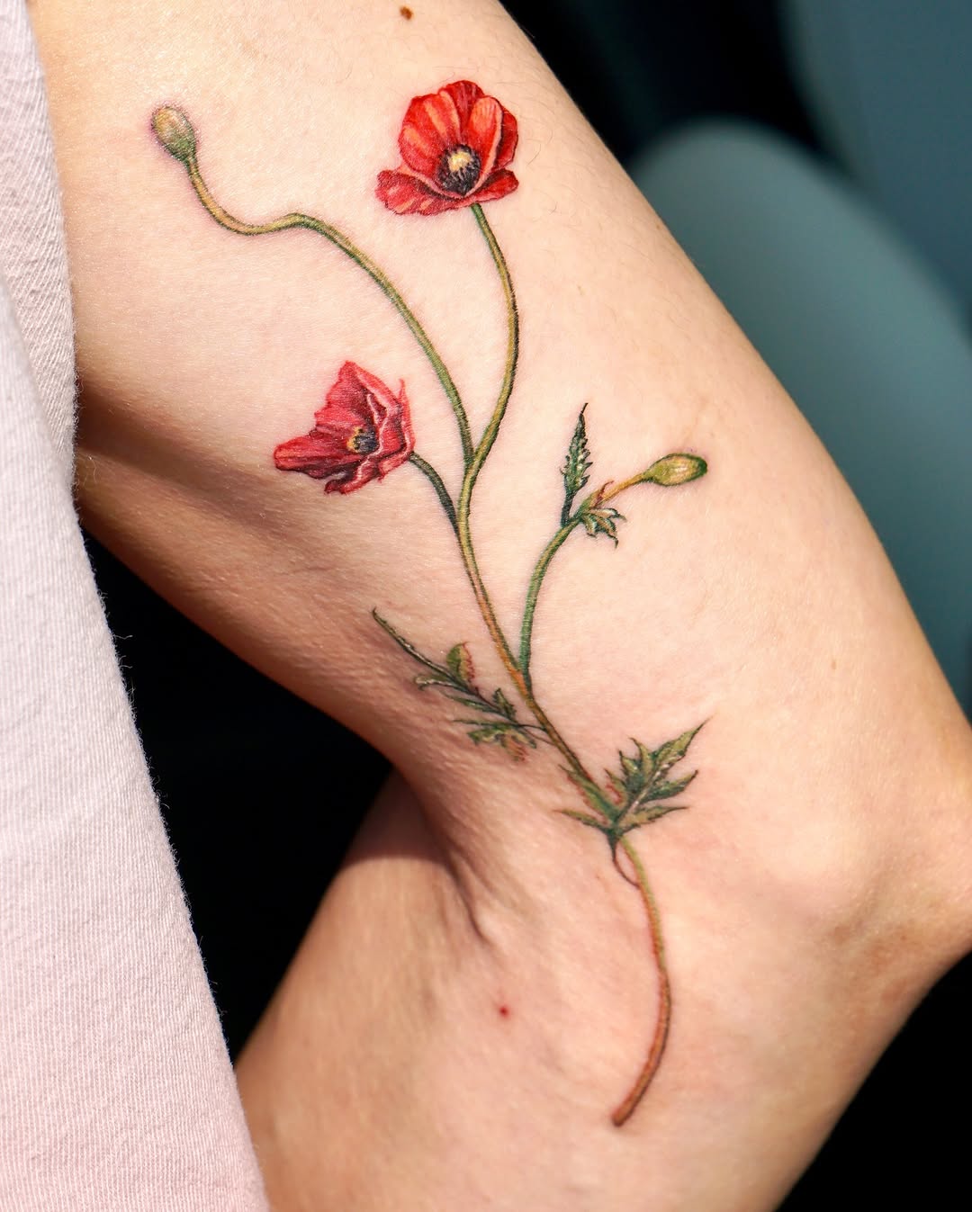 Flower, Rose, 양귀비