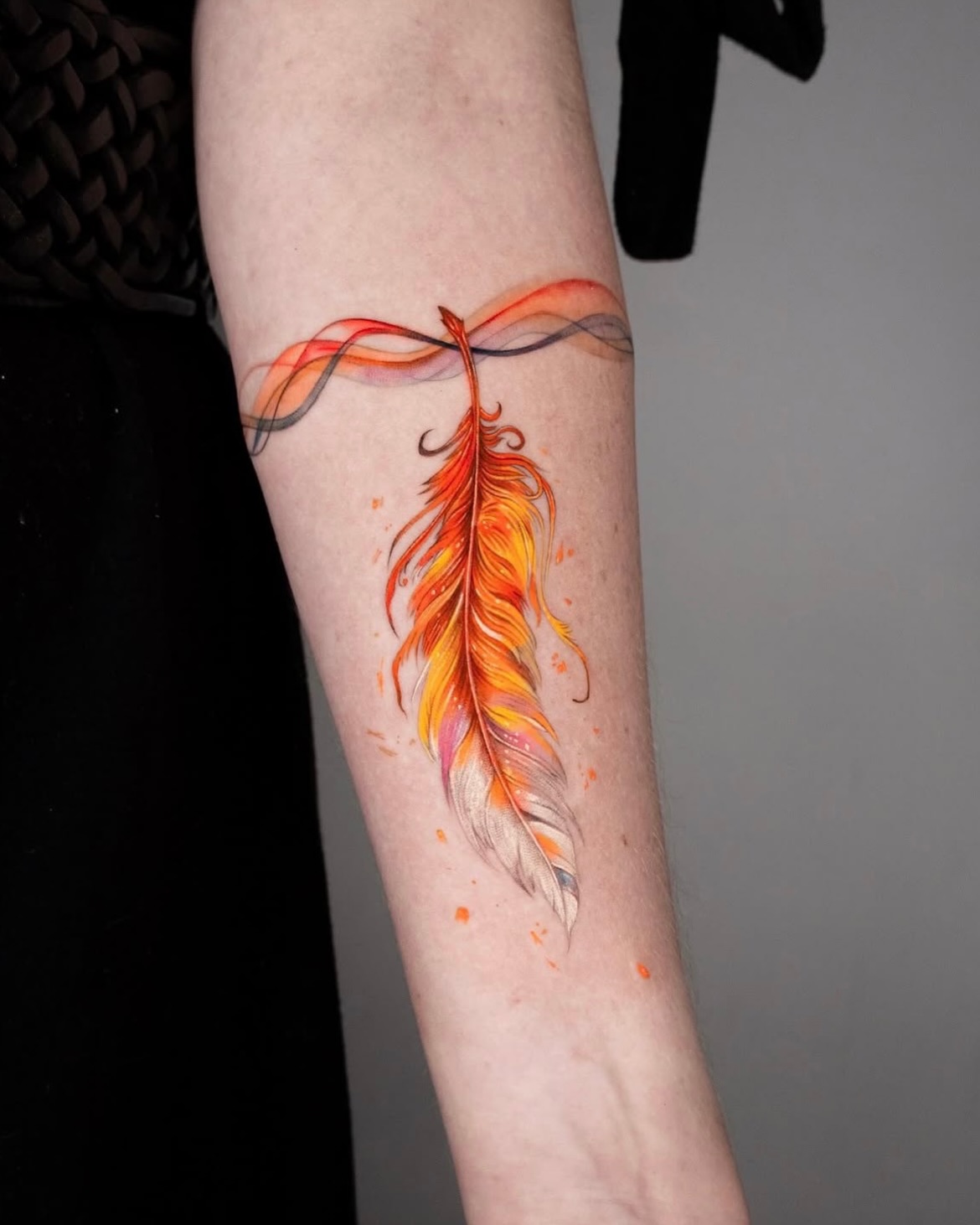 Animal, Nature, 앵무새