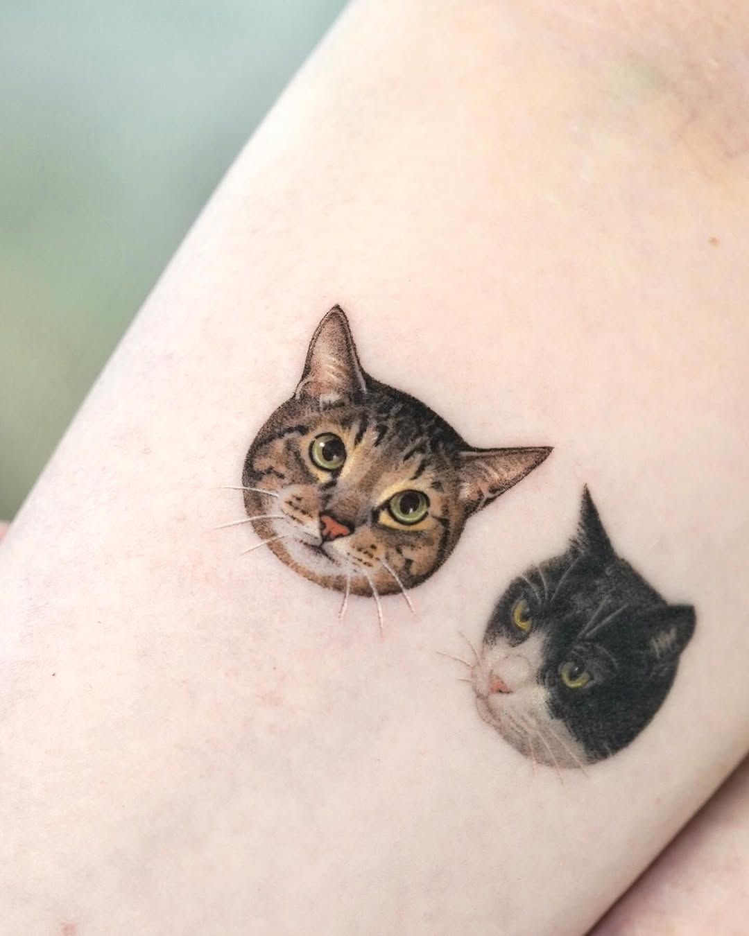 dorok.tattoo