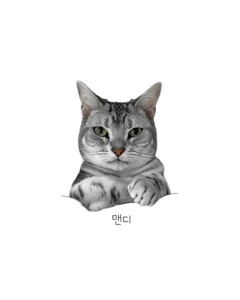 dorok.tattoo