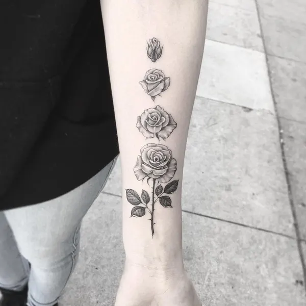Flower, Rose