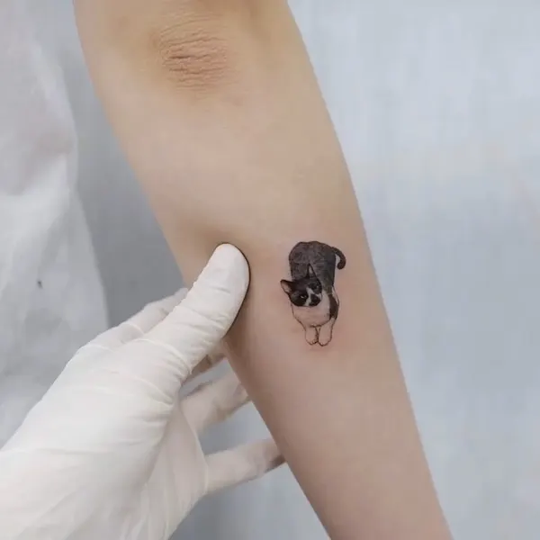 paw.tattoo