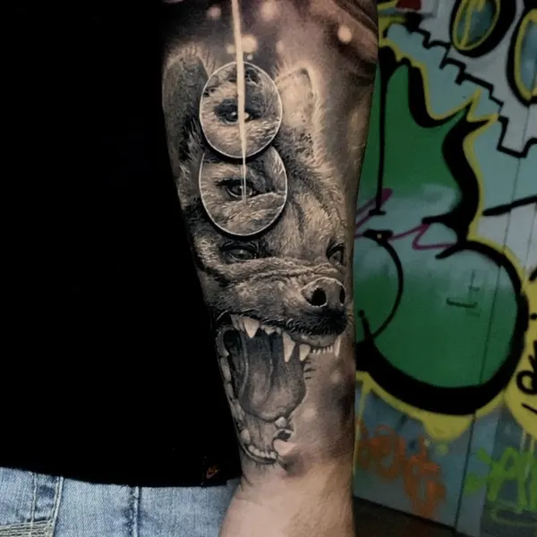 Tiger, Animal