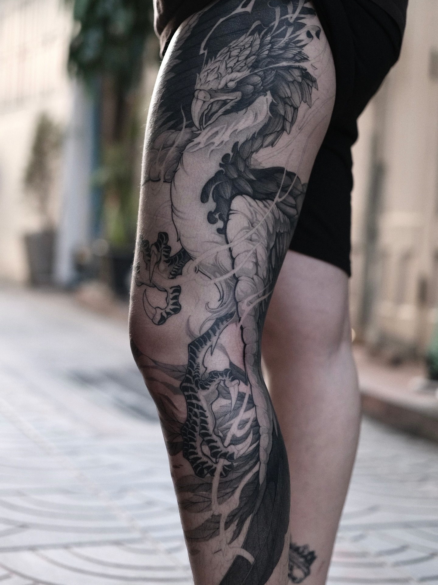 Dragon