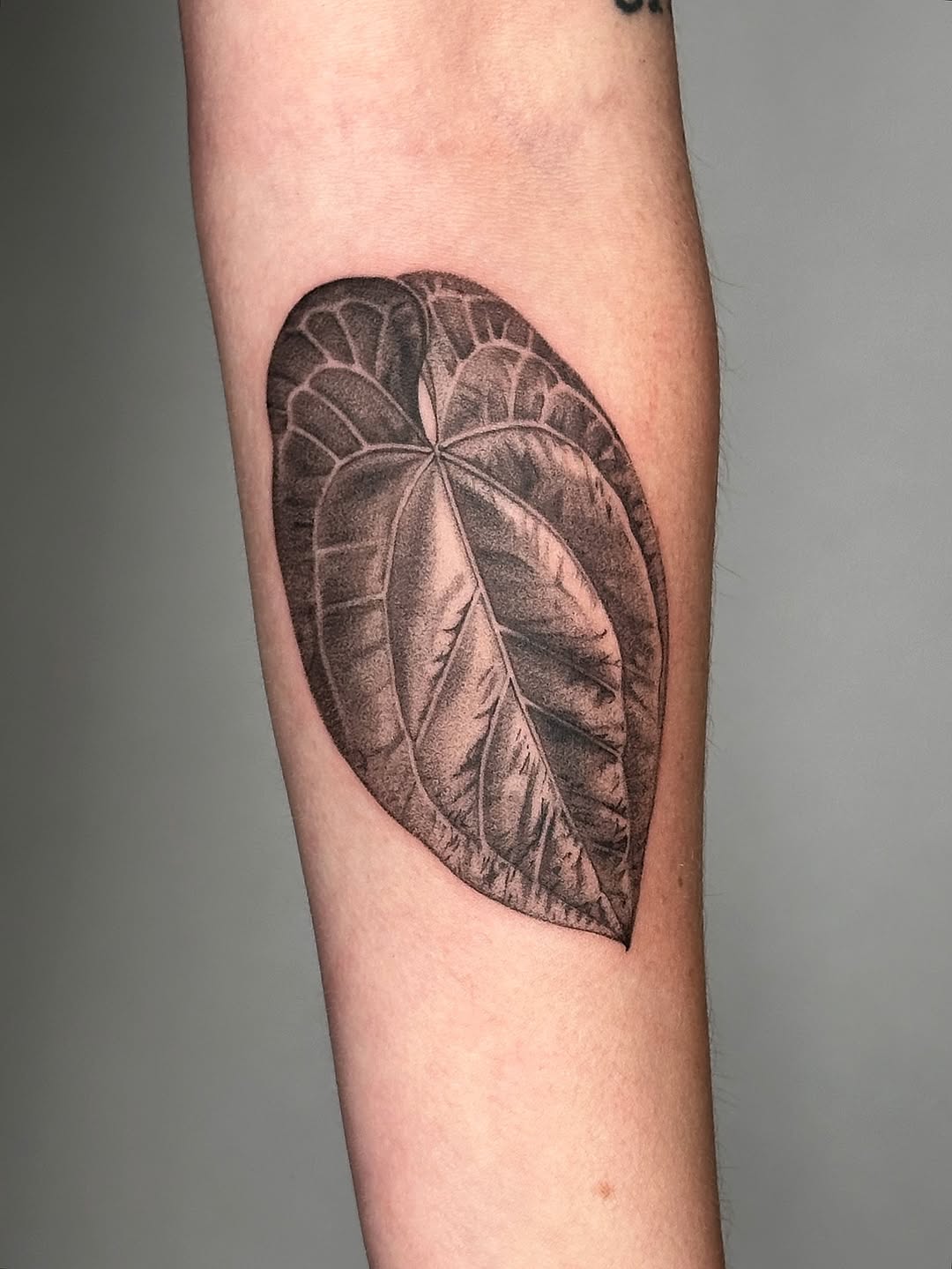 plantsnpokes