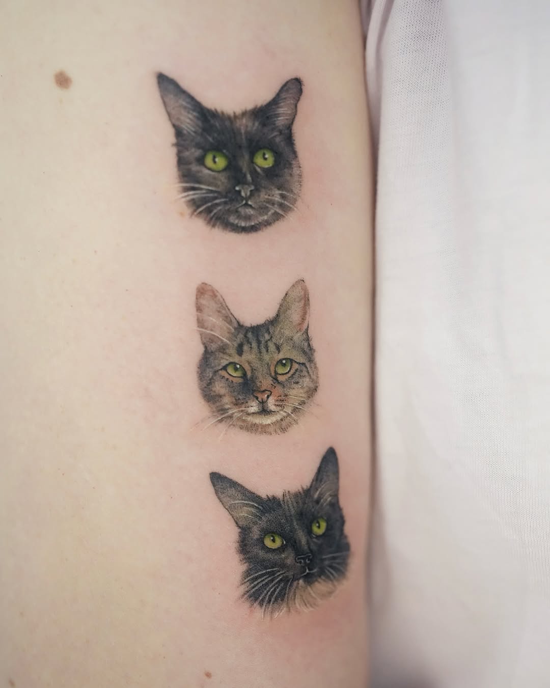 siren_ink