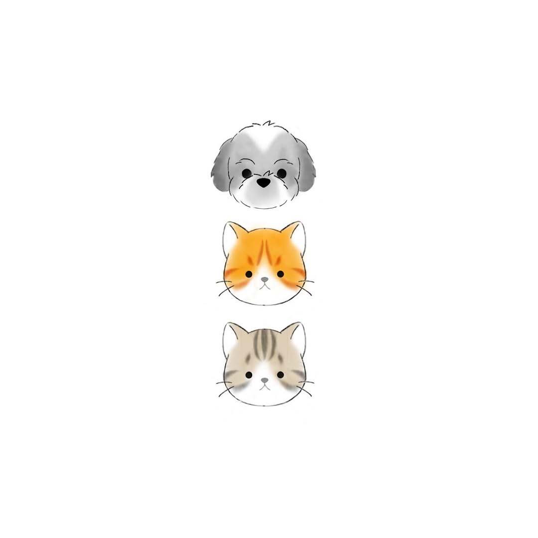 Animal