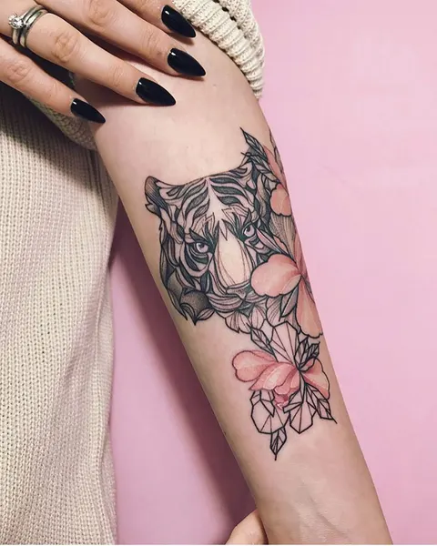 Flower, Rose, 모란, 목련
