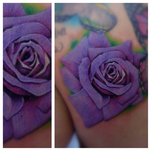 Flower, Rose
