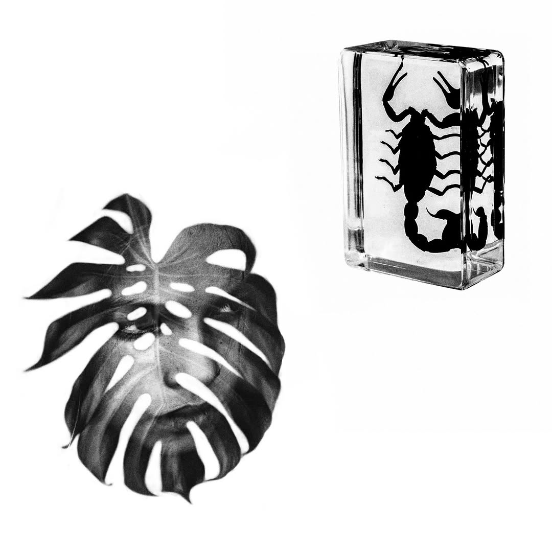 plantsnpokes