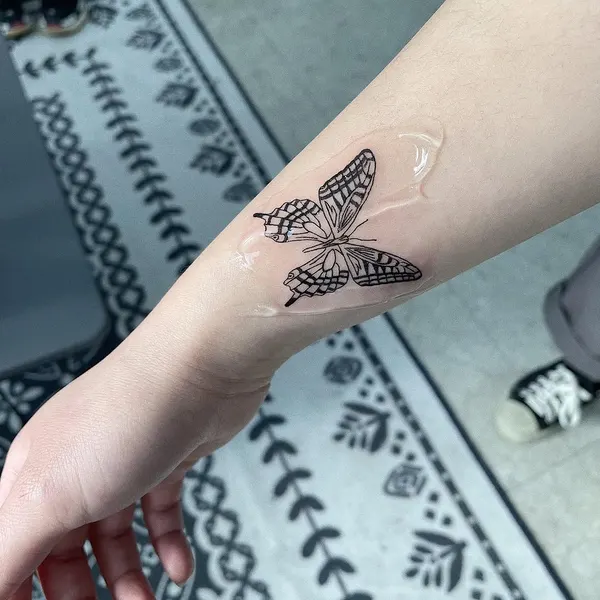 Animal, Nature