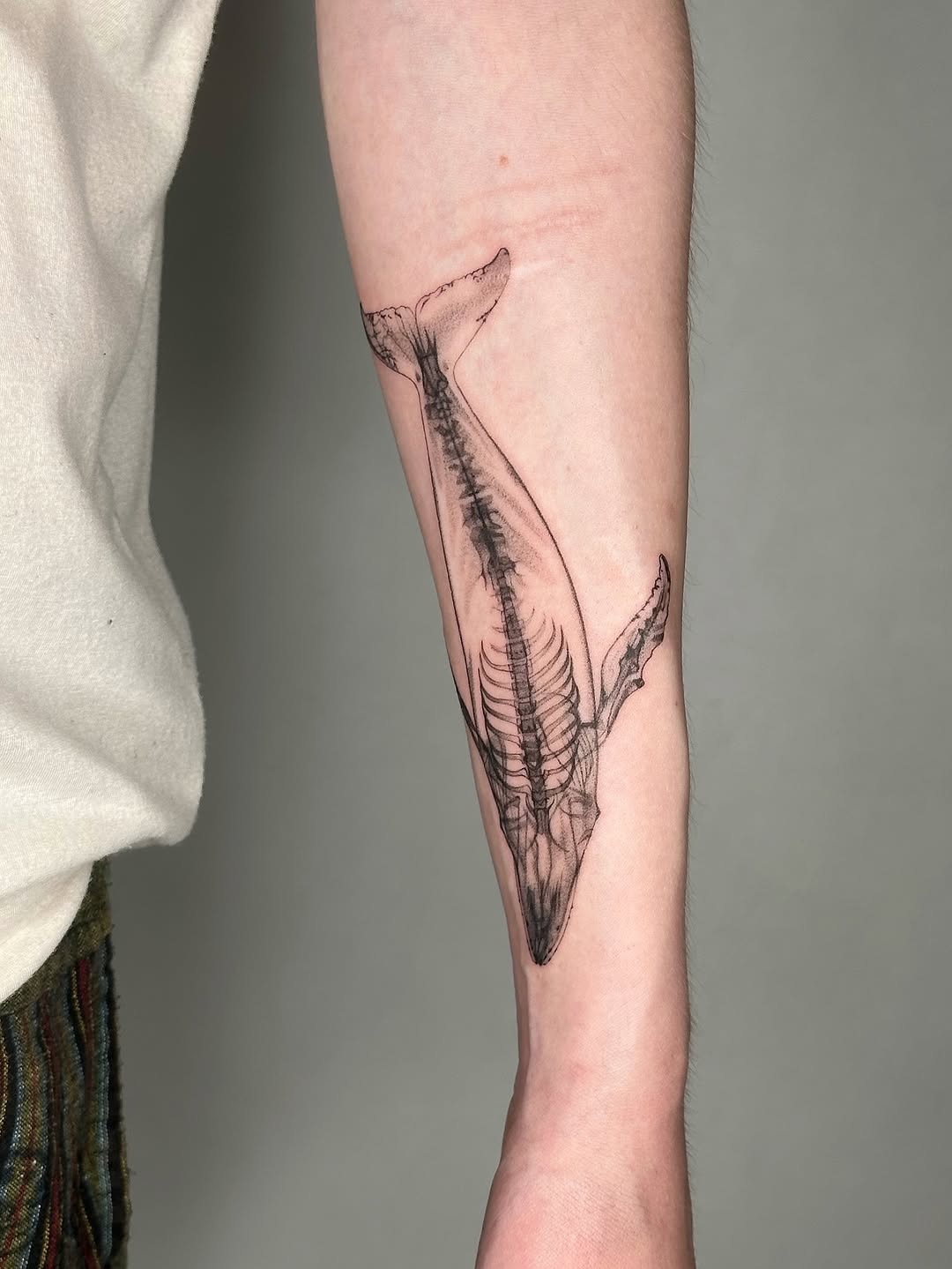 plantsnpokes
