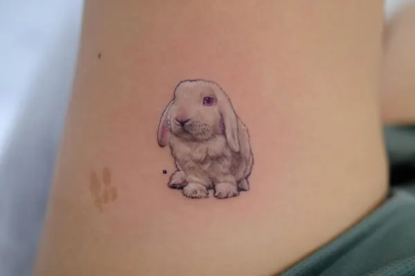 Animal