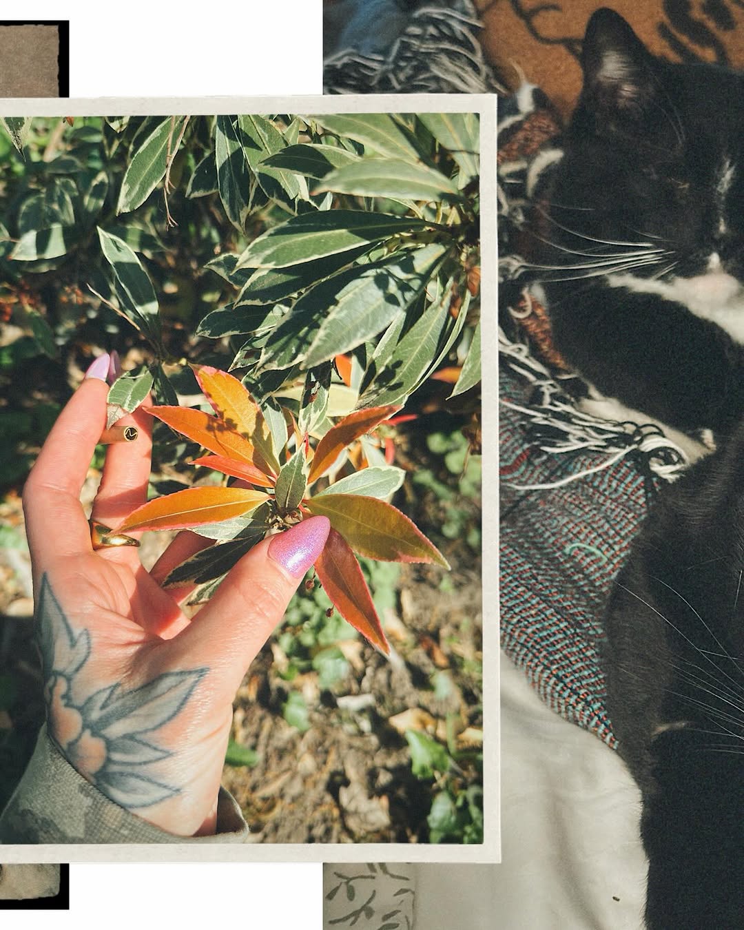 maiatattoos