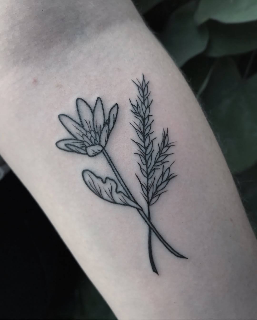 Flower