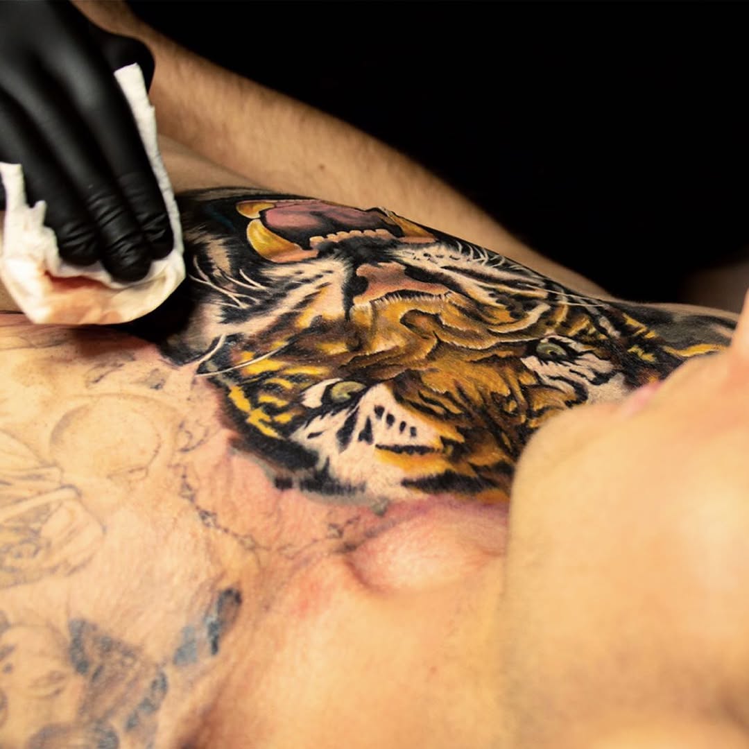 Tiger