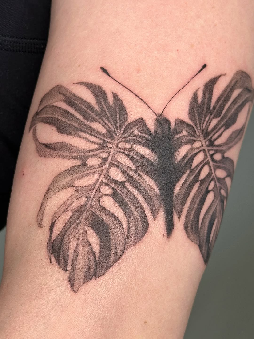 plantsnpokes