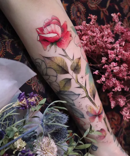 Flower, Rose