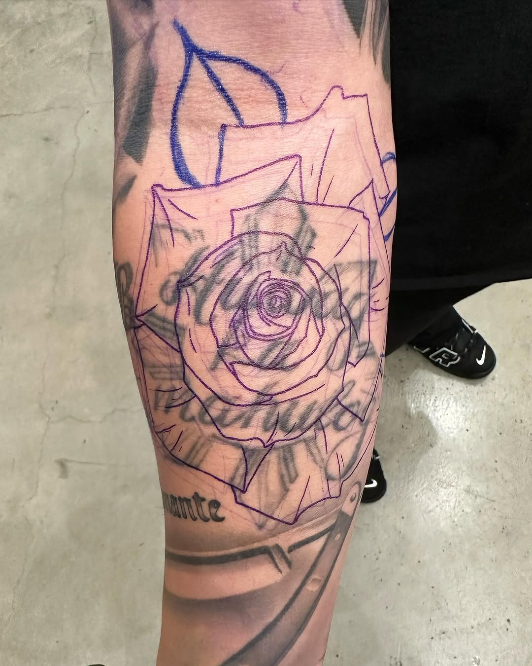 Flower, Rose