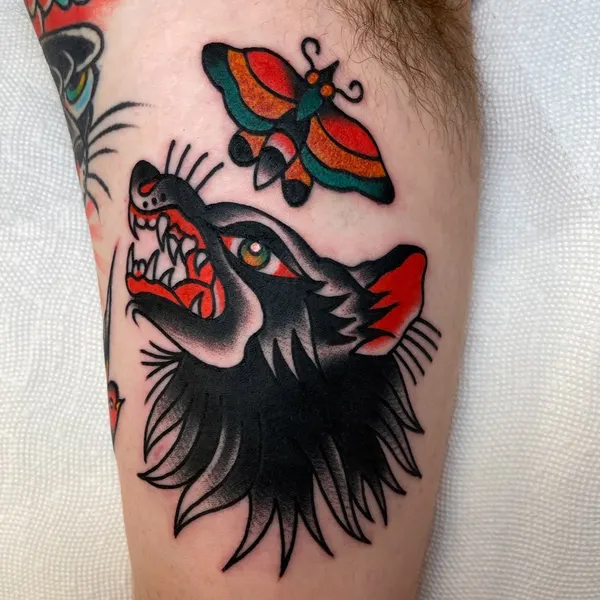 Tiger, Animal