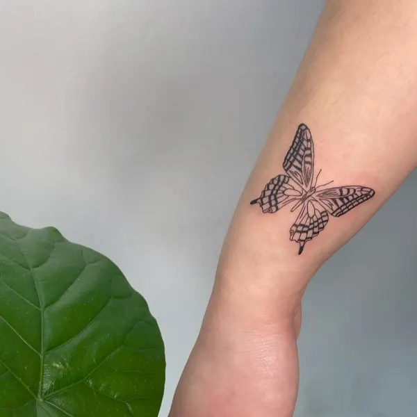 Animal, Nature