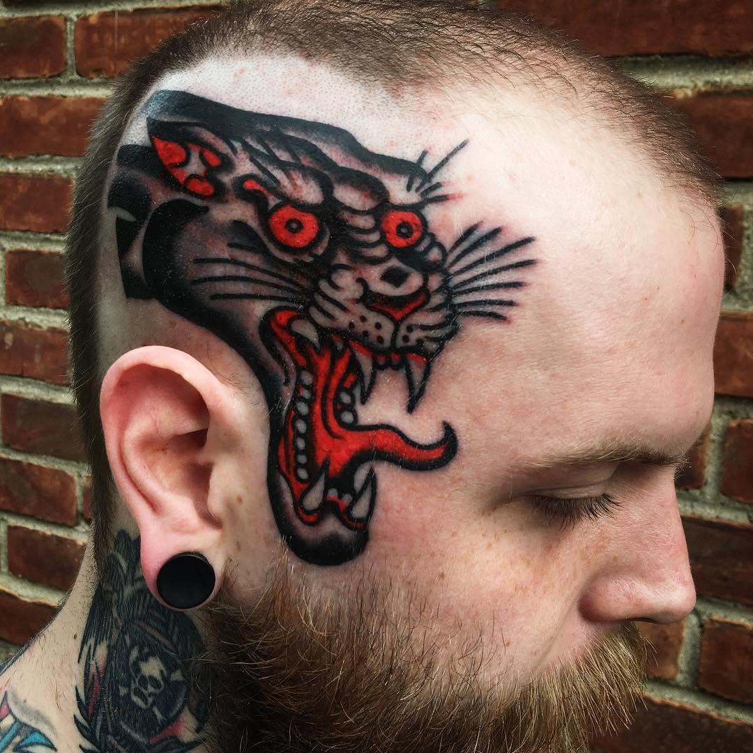 Animal, Tiger