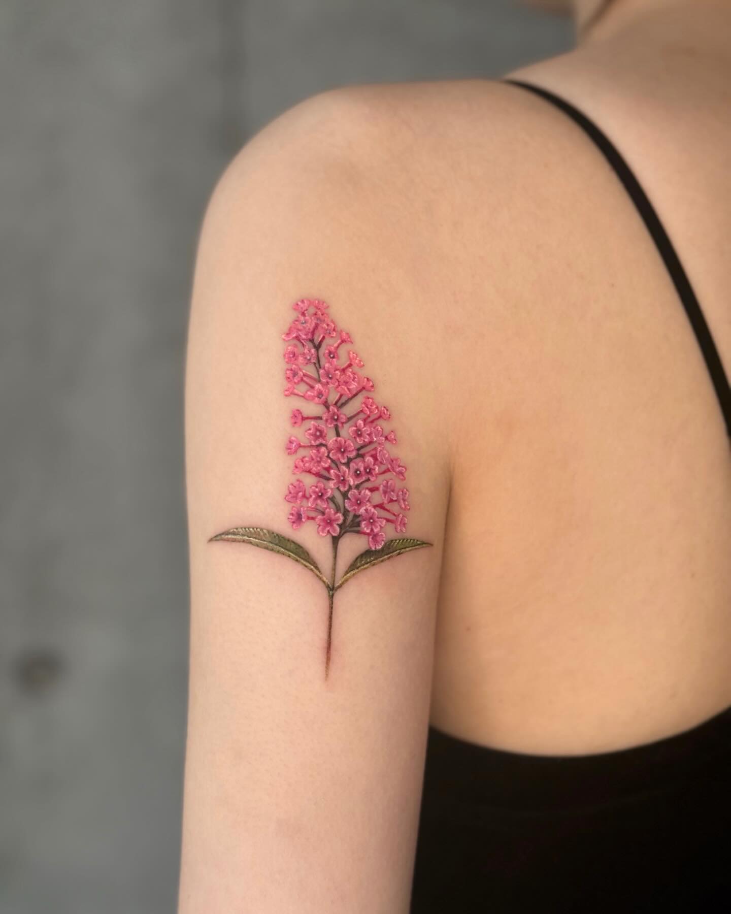 Flower, Rose, Nature