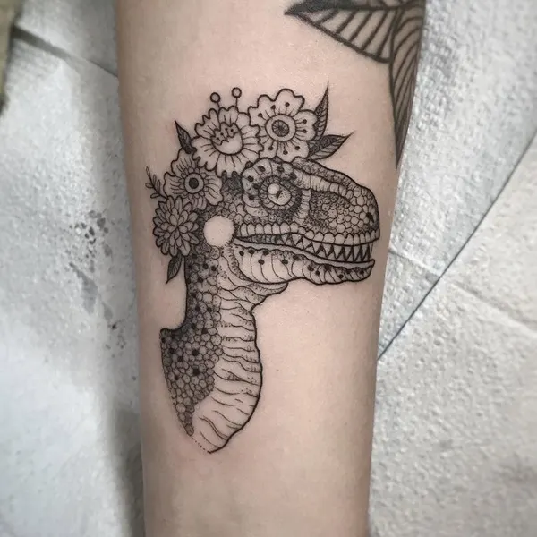 Dragon, 악어