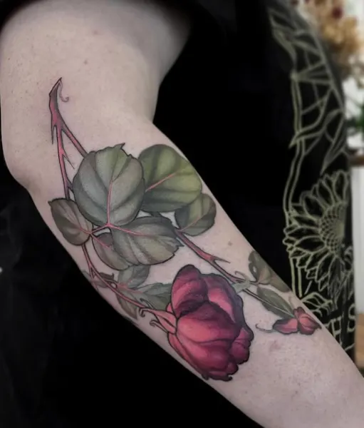 Flower, Rose