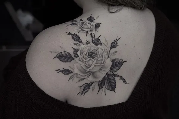 Flower, Rose