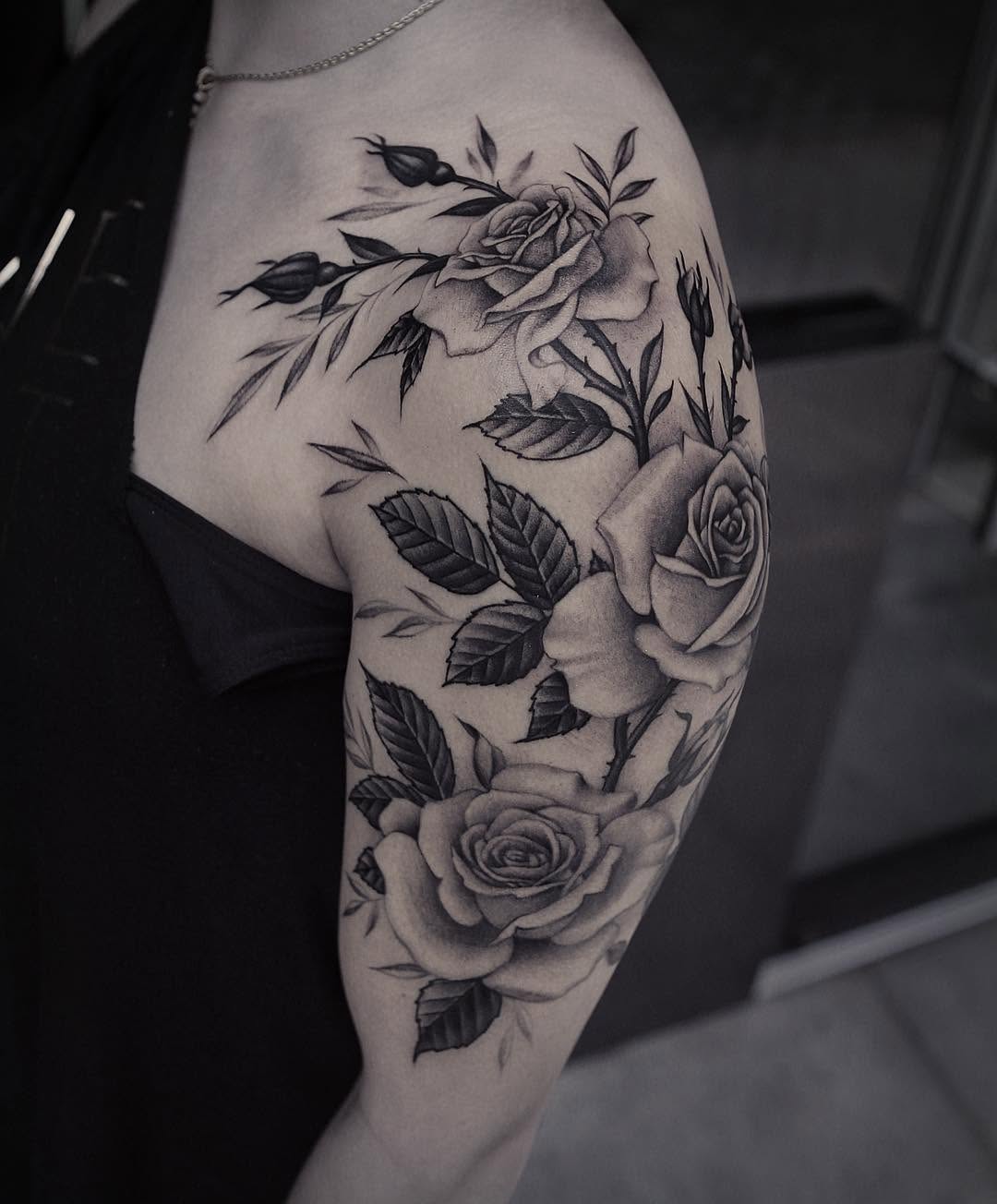 Flower, Rose, Nature