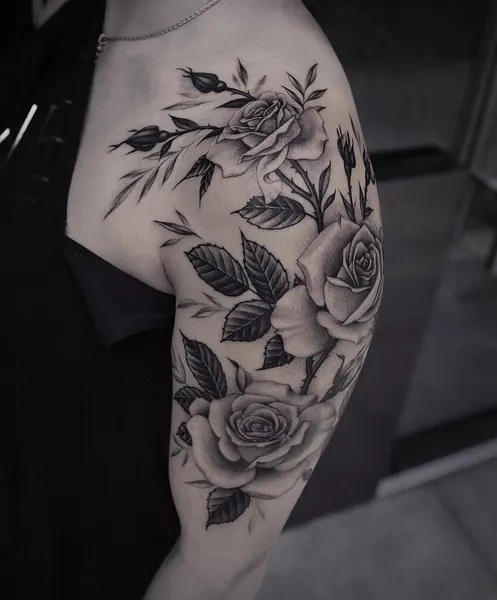 Flower, Rose, Nature